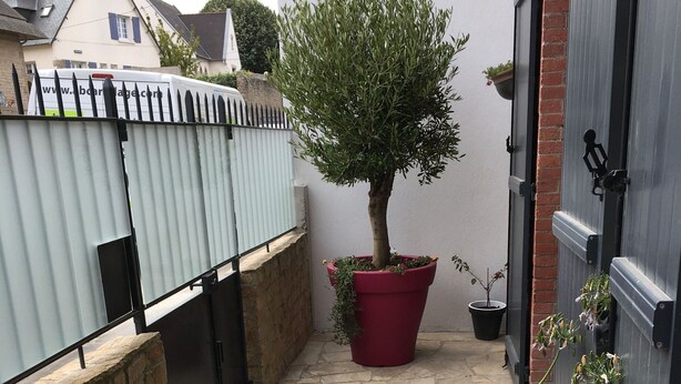 A stone-paved patio with a wooden bench, a large potted tree, and various potted plants. - Attractive 32 M2 studio with 12 M2 private courtyard (Dinard)