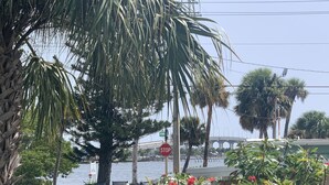 A wooden fence, palm trees, and a stop sign.