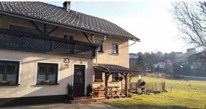 Cozy loft apartment in the heart of Kamnik-Savinja alps