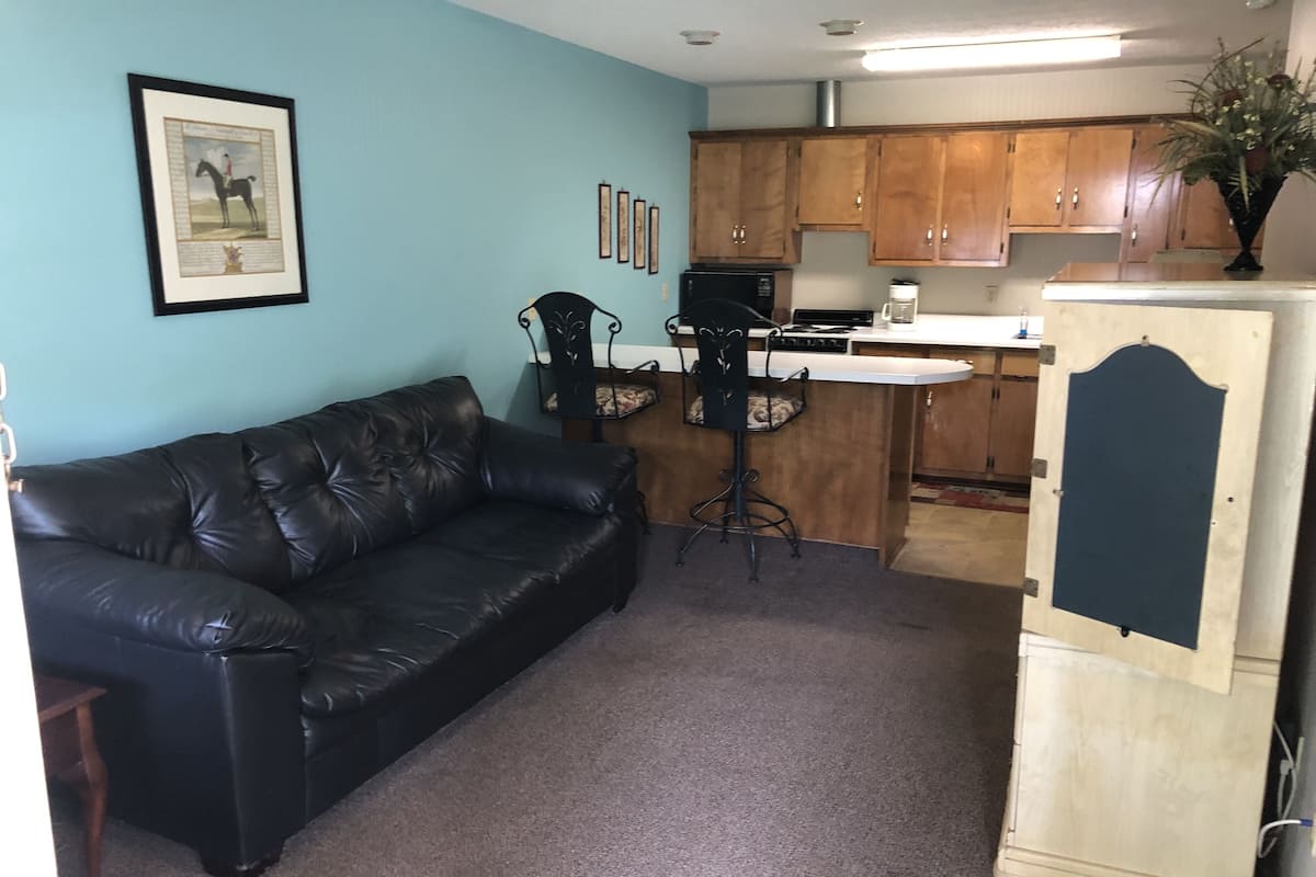 A living room with a black leather couch, a small dining area with a bar stool, and wooden cabinets.