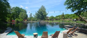 Scottland Yard Farm- Peacock's Perch