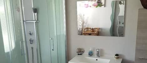 Shower, hair dryer, towels, toilet paper