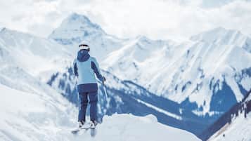 Wintersport/Ski