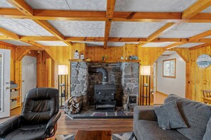Smart TV, fireplace, books