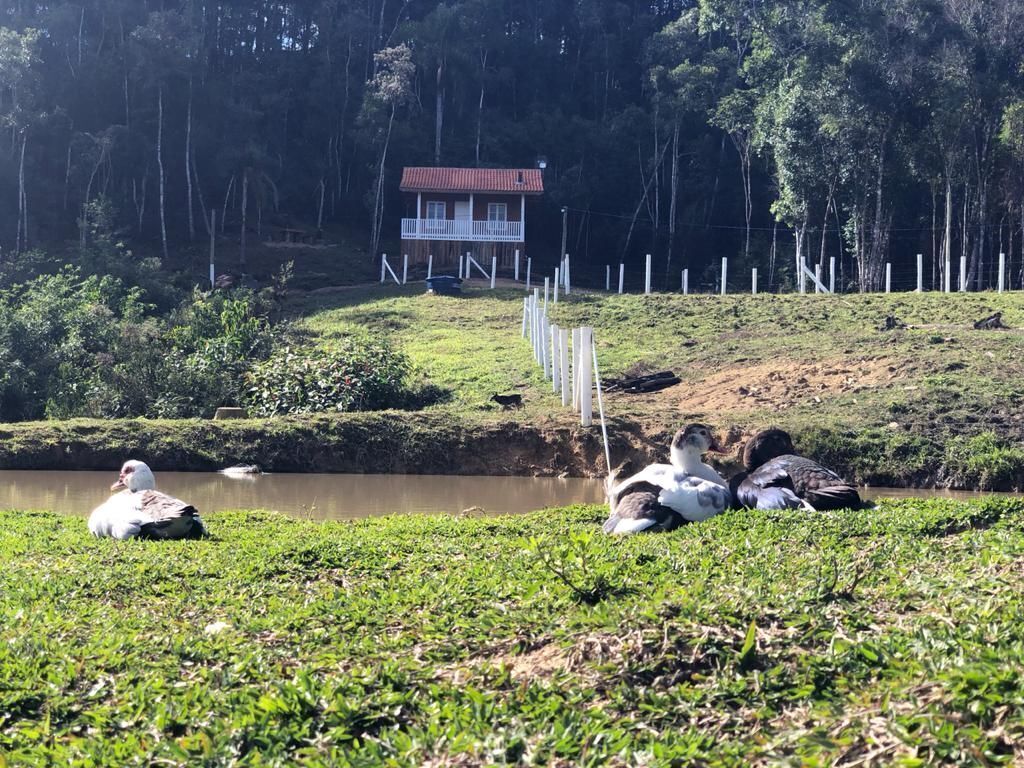 Àrea exterior de l'allotjament