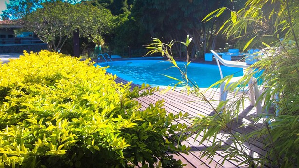 A pool area with a wooden deck, surrounded by lush greenery and a clear blue pool. - Pousada Porto do Arvoredo (Florianópolis)