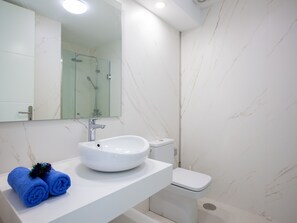 Shower, hair dryer, towels