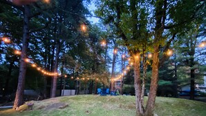 Een gazon met bomen en lichtjes.