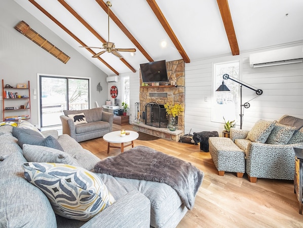 Smart TV, fireplace, video games, books