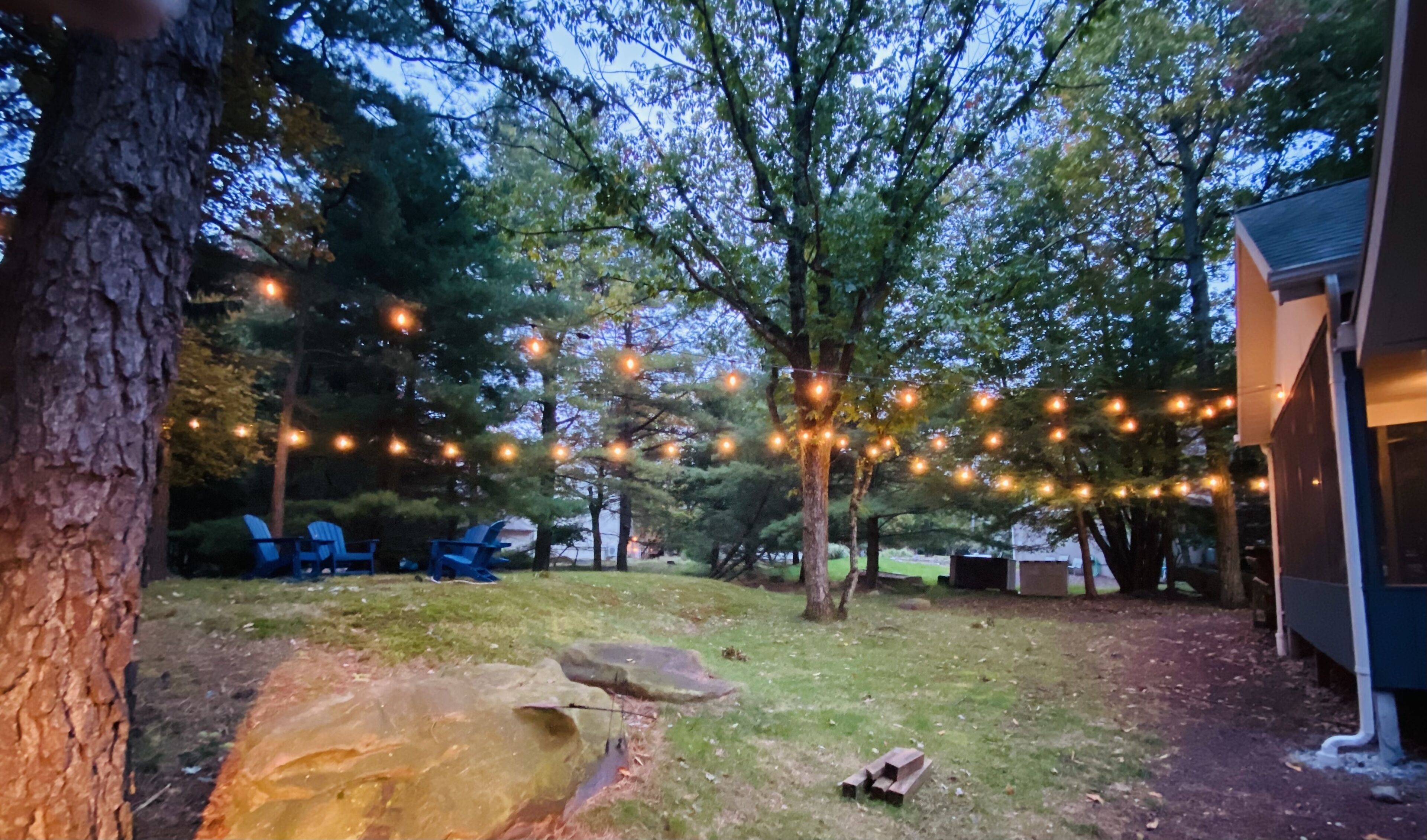 A backyard with string lights, a tree, and a building.