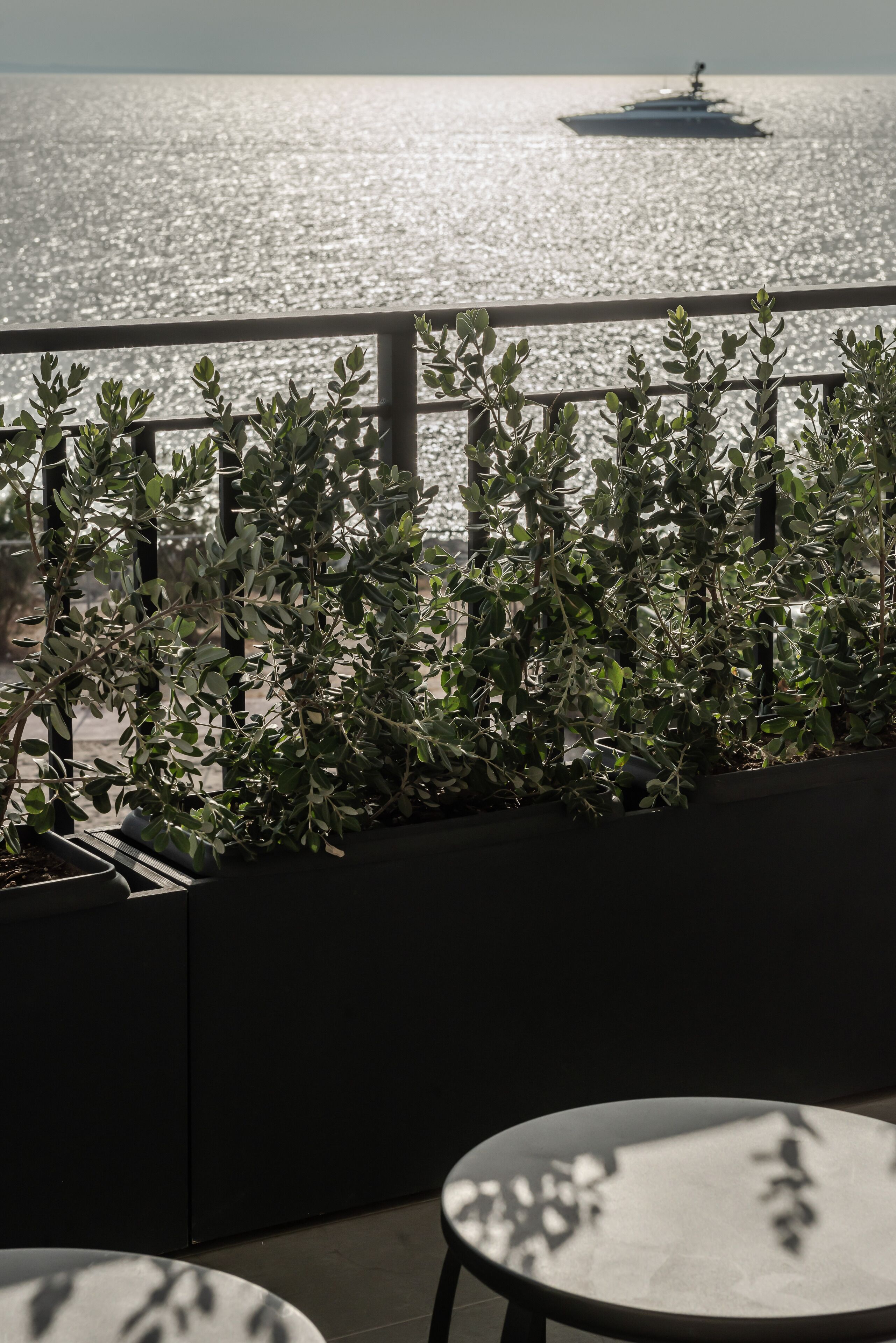 A balcony with a view of the sea, potted plants, and a table.