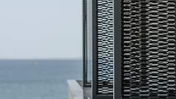 Beach/ocean view