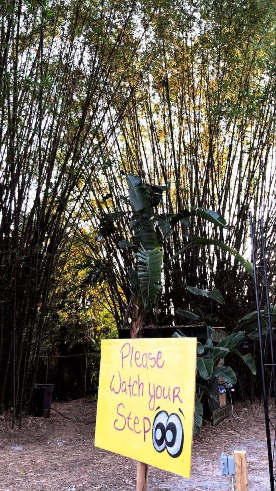 Photo 12 of Bamboo Oasis B - 5 miles to Beach & Downtown