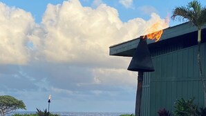 Ein gepflegter Rasen mit einer dekorativen Flamingolampe, einer Palme und Blick auf den Ozean.