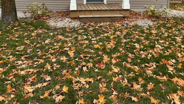 A house with a front porch, a blue door, and a number '1334' on the wall. - Cute & cozy, close to downtown Boyne city!  (Boyne City)