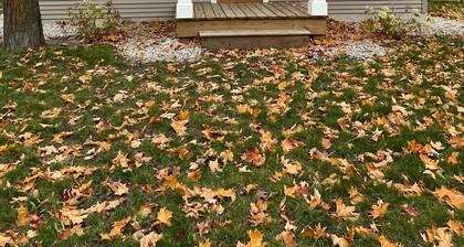 Cute & cozy, close to downtown Boyne city!