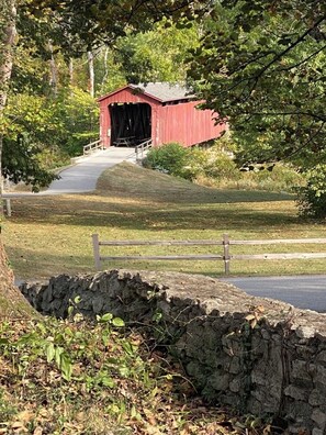 Cross a picturesque bridge over tranquil surroundings.