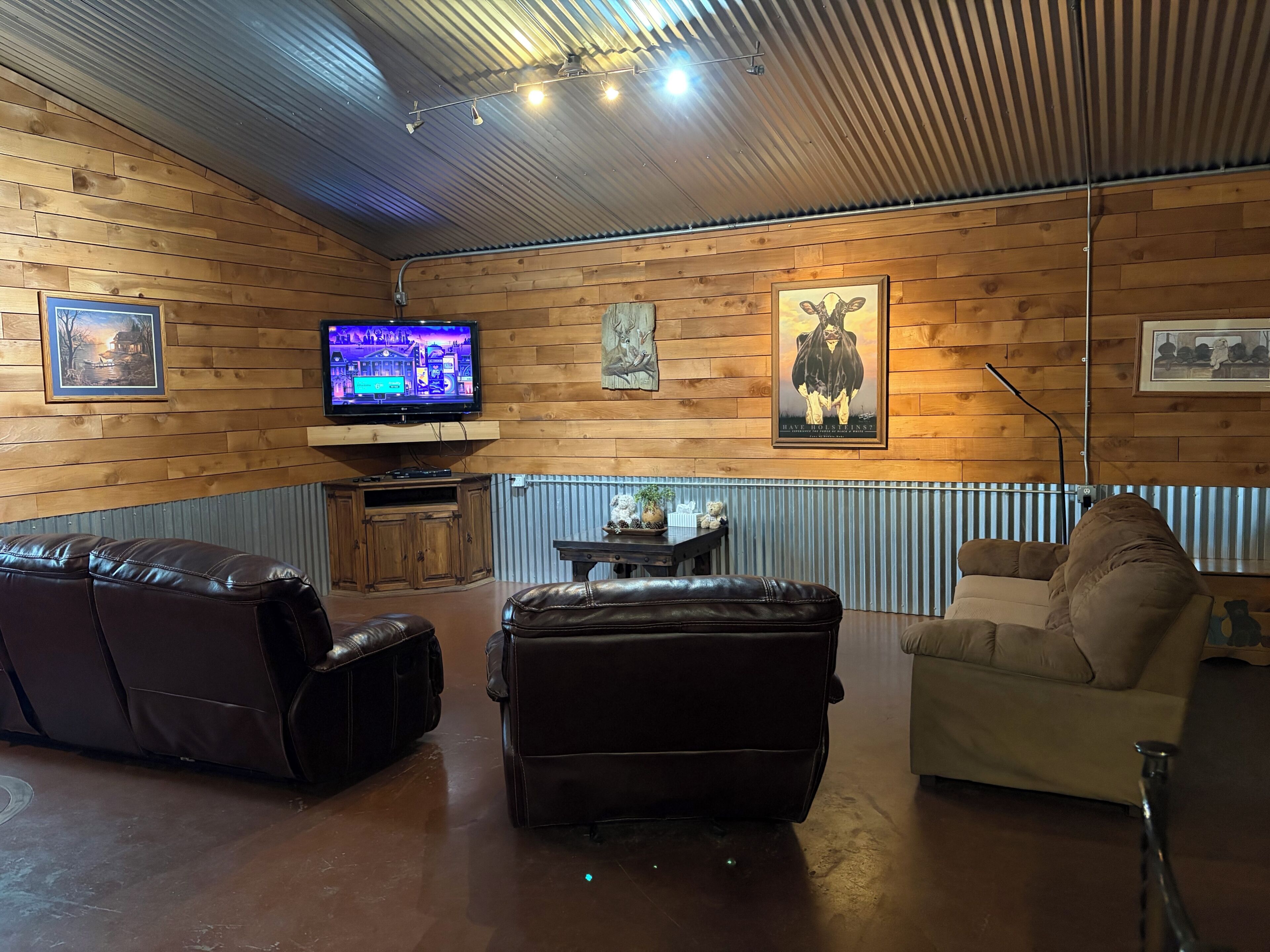 Smart TV, fireplace, DVD player, books