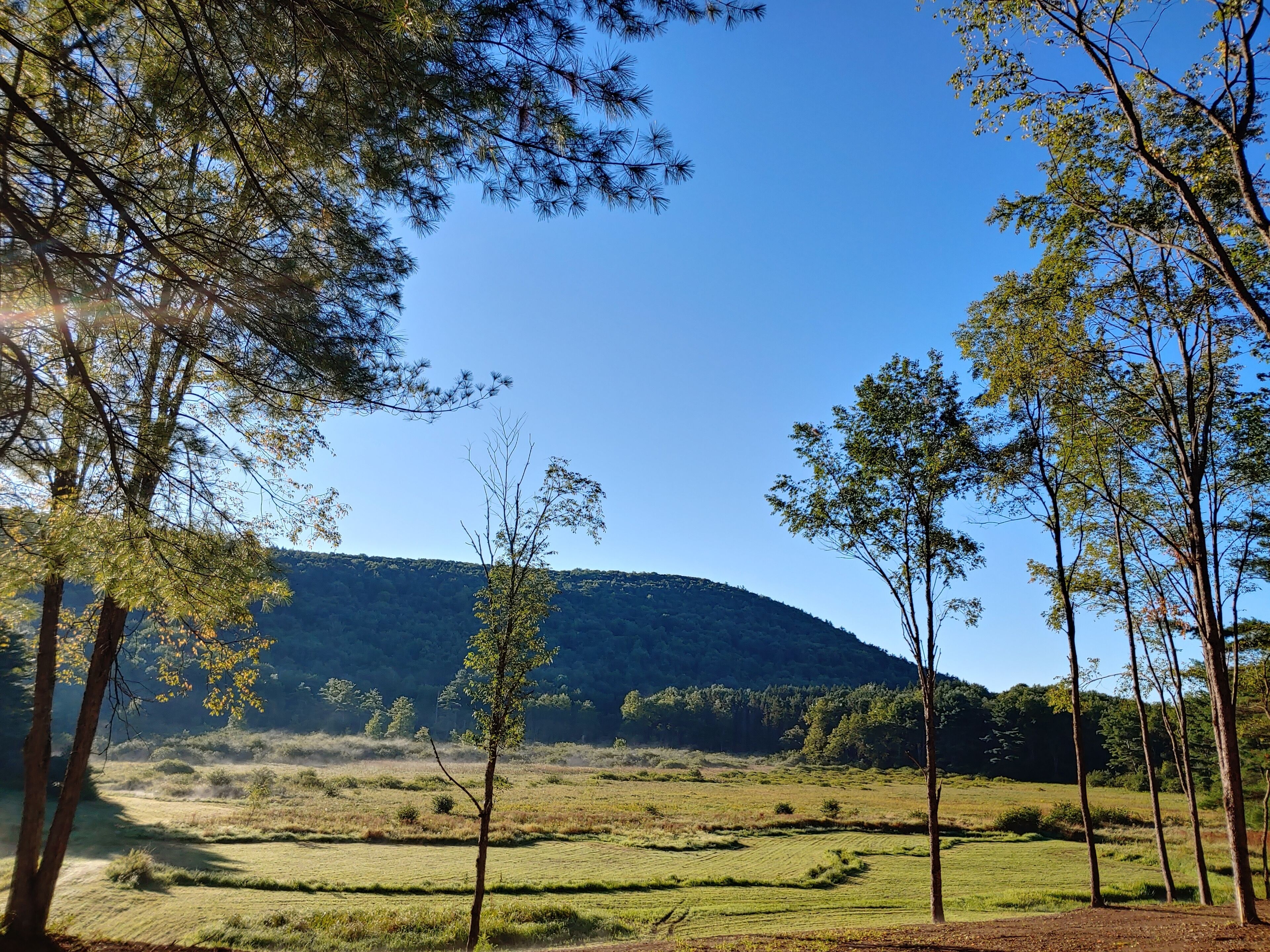 A rural landscape with a clear sky, a hilly backdrop, and a field with trees.
