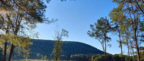 A rural landscape with a clear sky, a hilly backdrop, and a field with trees.
