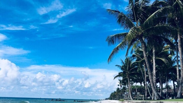 A beach with clear skies, palm trees, and calm waves. - Resort style vacation, 2BR/2BA condo in the heart of Naples: 8min to the beach (Naples)
