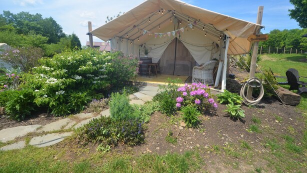 Un hébergement sous tente doté d’un espace jardin, d’une table en bois et d’une pancarte indiquant « The HoneySuckle ».