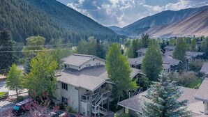 A residential area with houses surrounded by trees and mountains.