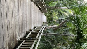 A wooden staircase leading up to a wooden deck surrounded by lush tropical foliage. - Vidanta Luxury Paradise by (Nuevo Vallarta)
