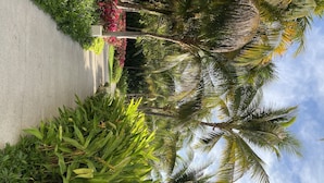 A pathway flanked by lush greenery and palm trees, leading to a building with a concrete facade. - Vidanta Luxury Paradise by (Nuevo Vallarta)