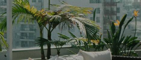 المنطقة المحيطة بالمنشأة