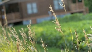 Eine Holzhütte mit geneigtem Dach und einem Balkon, umgeben von üppiger Vegetation.