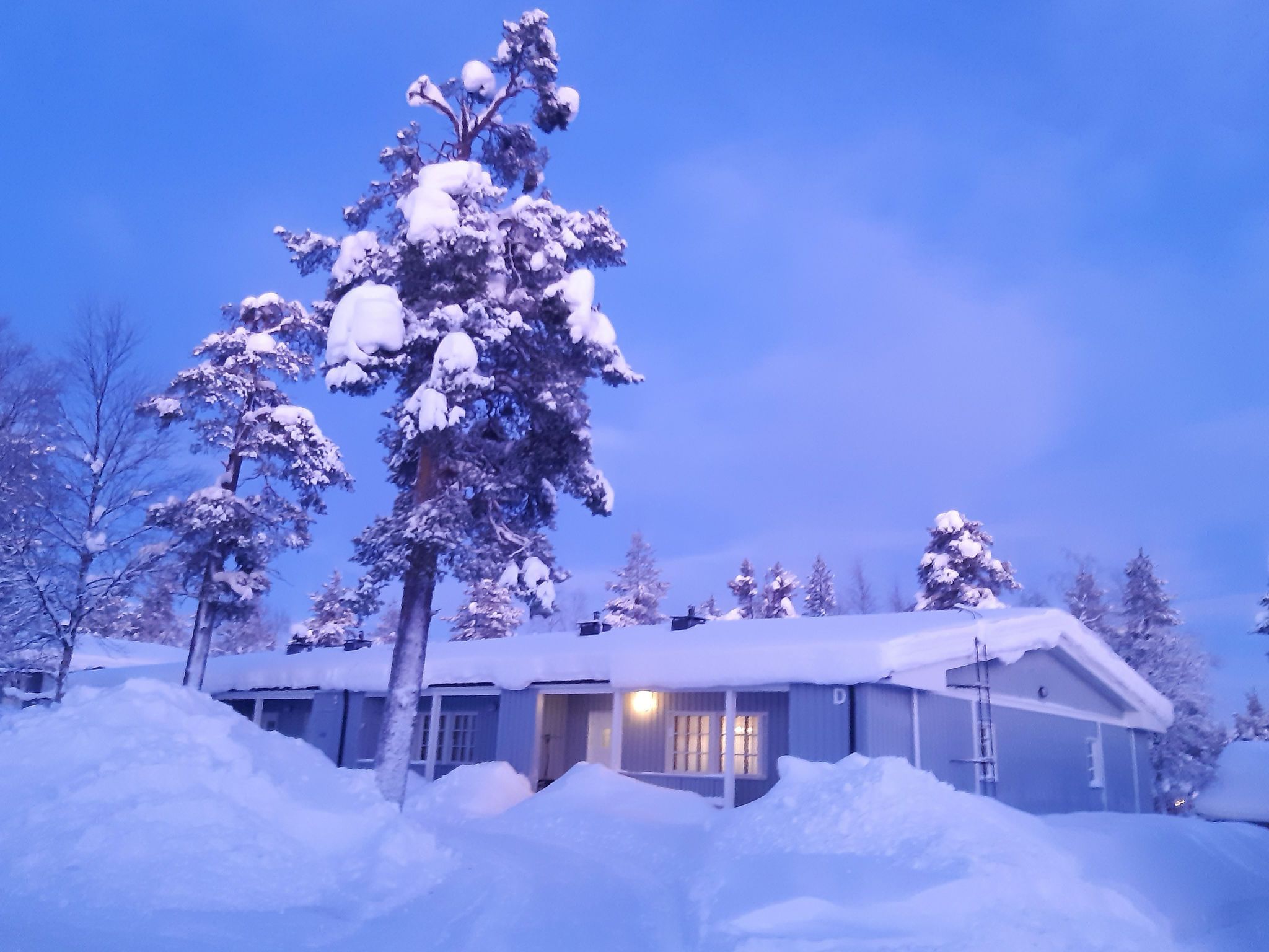 Une maison recouverte de neige, avec une porte d’entrée et des fenêtres bien visibles, entourée d’arbres chargés de neige.