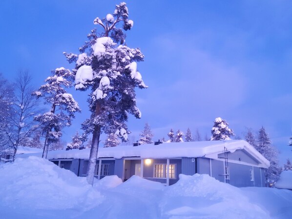 Una casa cubierta de nieve con una puerta principal y ventanas visibles, rodeada de árboles cargados de nieve.