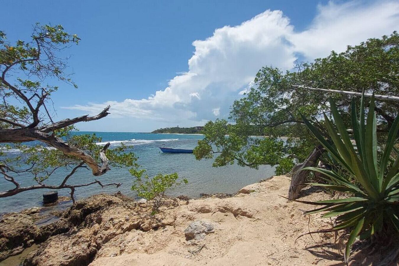 Une plage avec un bateau, un terrain rocheux et une végétation clairsemée.