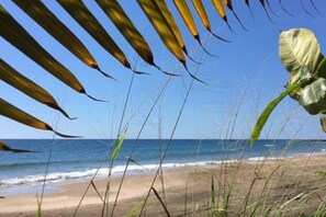 Tæt på stranden
