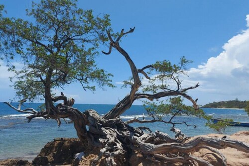 Eco-Modern Apartment @ VillaMarissa 2 Bed/2.5 Bath