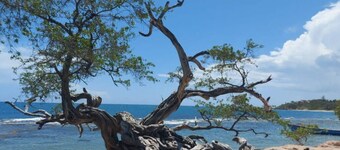 Eco-Modern Apartment @ VillaMarissa 2 Bed/2.5 Bath