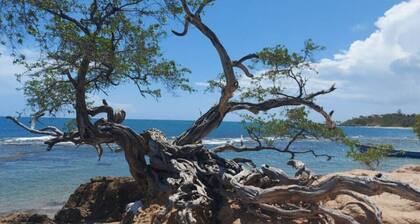 Eco-Modern Apartment @ VillaMarissa 2 Bed/2.5 Bath