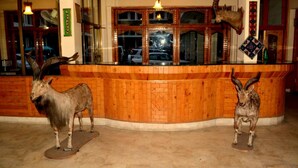 Un hall d’entrée avec un comptoir de réception en bois, deux têtes d’animaux empaillées accrochées au mur et une grande fenêtre qui reflète les voitures.