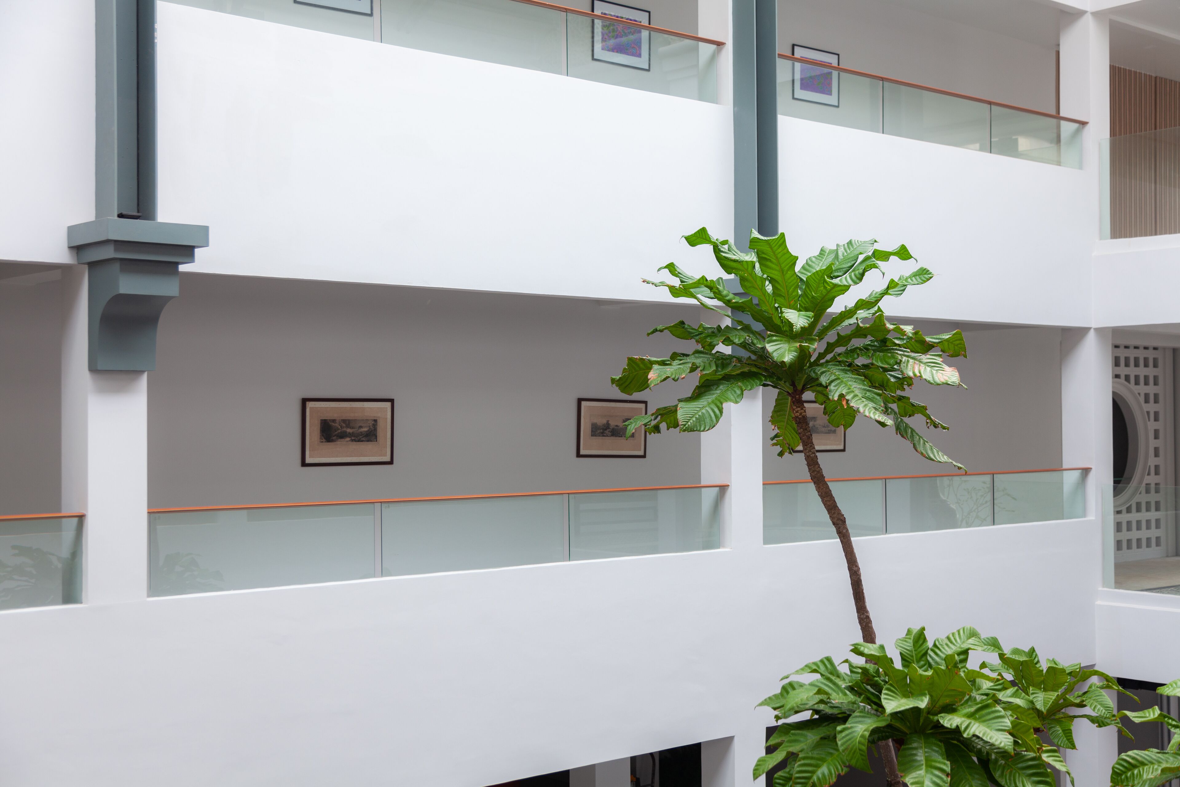 Foto - Anona Beachfront Phuket Resort-SHA EXTRA PLUS