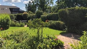 Um jardim com gramado, arbustos diversos e um caminho.