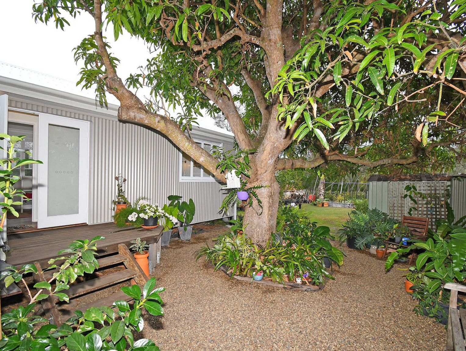 A backyard with a large tree, potted plants, and a wooden deck.