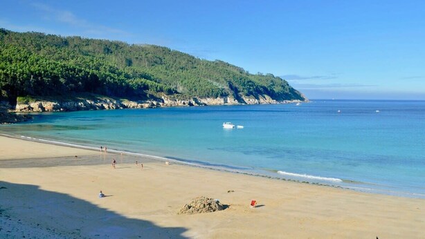 A beach with clear blue water, sandy shore, and a forested hill in the background.