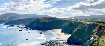 The Cliffs - Picon Seaside Cottage