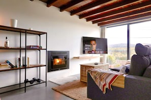 Télévision, cheminée, espaces bureaux