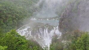 Una cascada se precipita por un acantilado empinado rodeado de bosque denso.