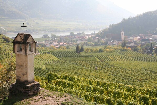Winery