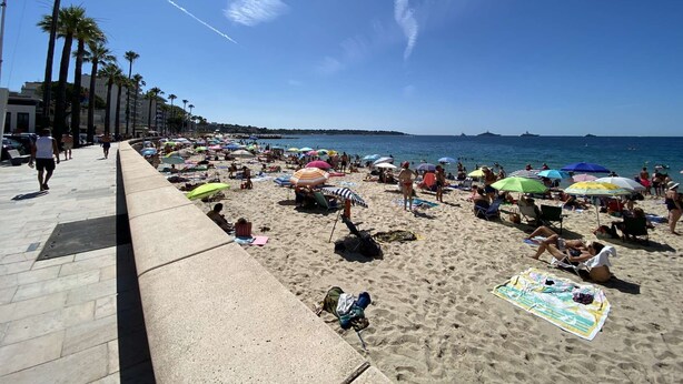 A beach with people sunbathing and walking, palm trees, and a clear sky.