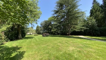 Área da propriedade