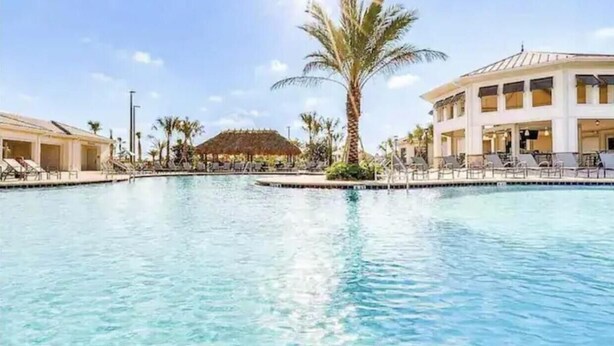 Une piscine entourée de bâtiments, avec des chaises longues et un palmier.